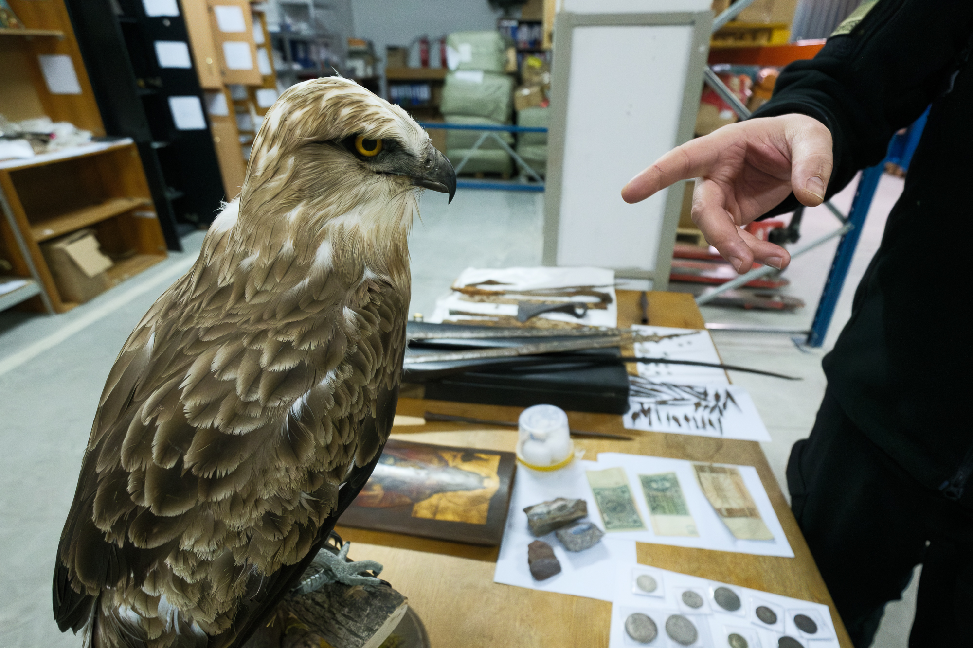 Монеты Руси, иконы и трипольские вазы. Кто и как вывозит из Украины национальное наследие